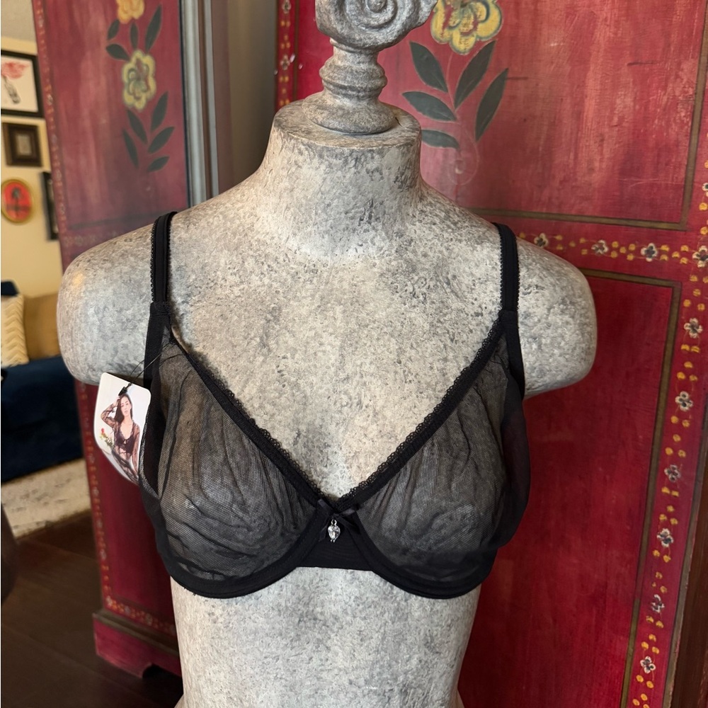Mesh unlined underwire bra